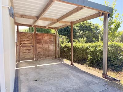 Picture 31
